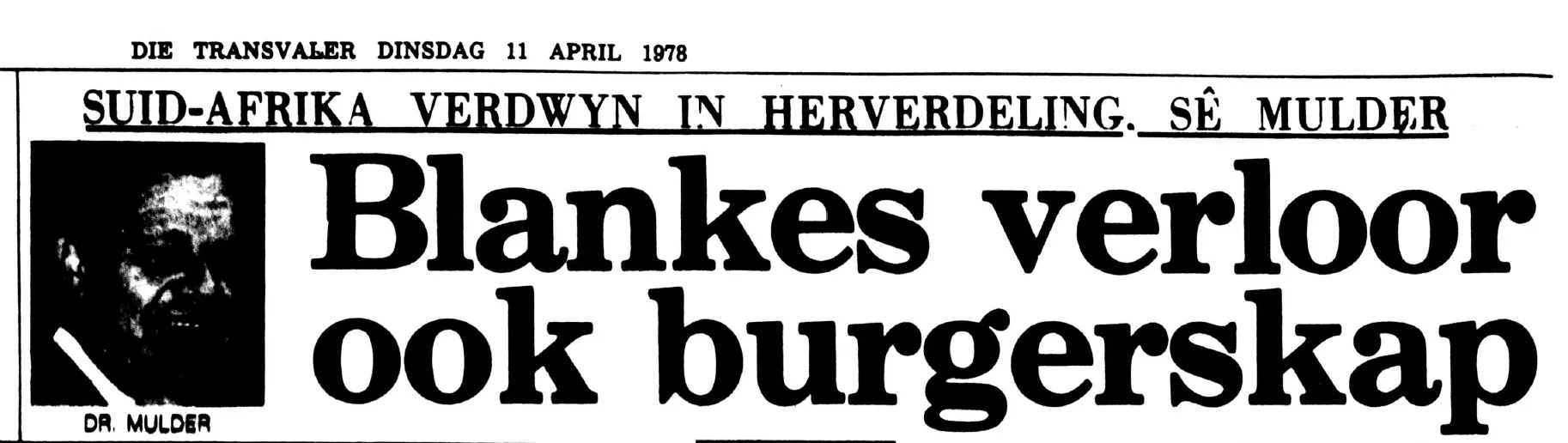 newsarticle header.webp